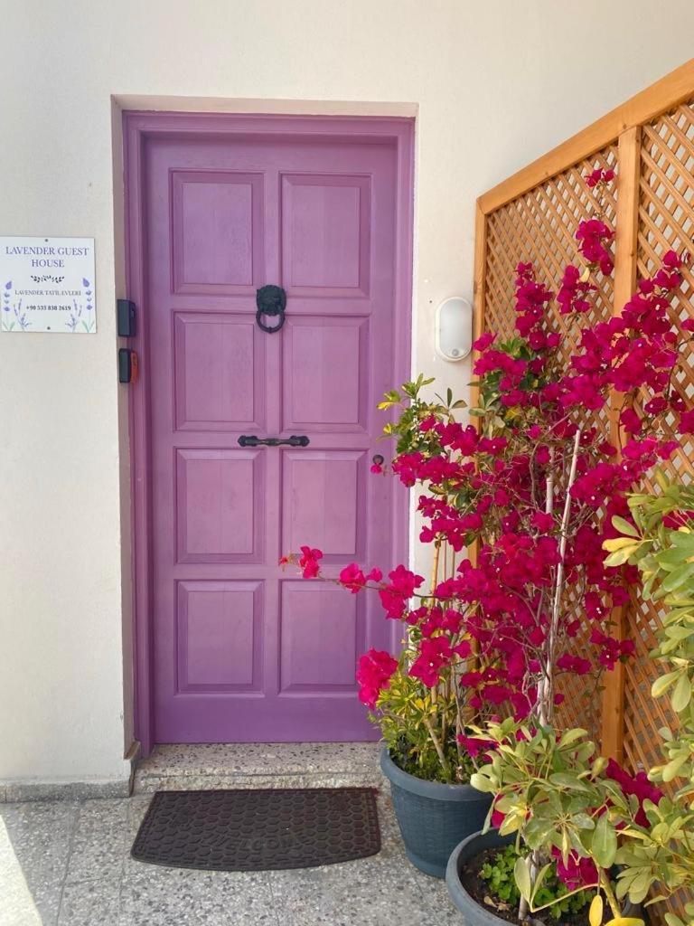 Lavender Homes, Walled City 파마구스타 외부 사진